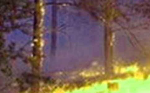 火灾疏散应急预案