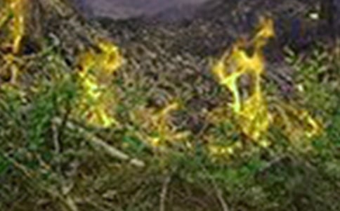 ���»��ֵ�Ӧ��Ԥ��