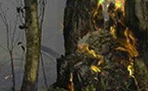 �����¹ʱ��淶��