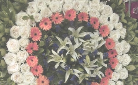 �����ѹʸ�ĸ������