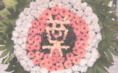 ��������ȥ���ഺʫ��