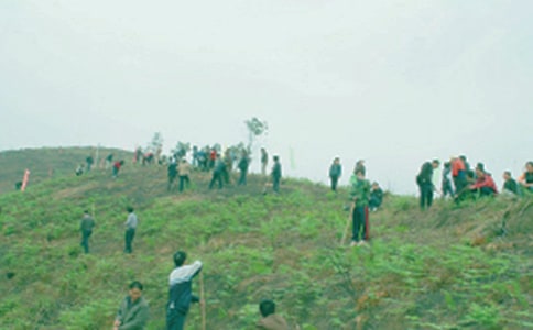 ȥ���������