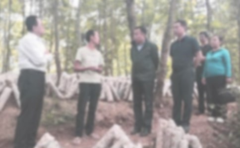 ѧ��Υ�ͼ���[����]