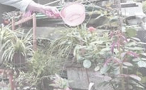 ������ͼ����8ƪ