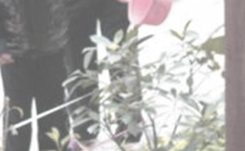 С���ѽ����Ļ����ͨ��49ƪ��