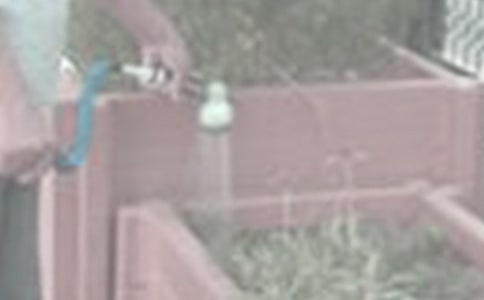 �������ĵ������ġ����š�