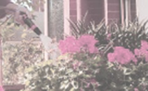 ������Ľ������Ľ�ѧ���