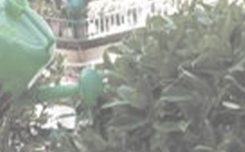 ������ϼ�,û�˽�����δ���