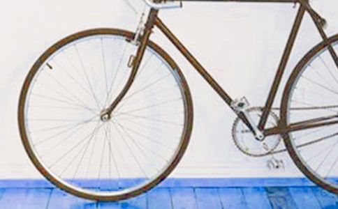 ��ѧ���̤���Ĺ�������