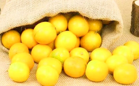 �������600��5ƪ