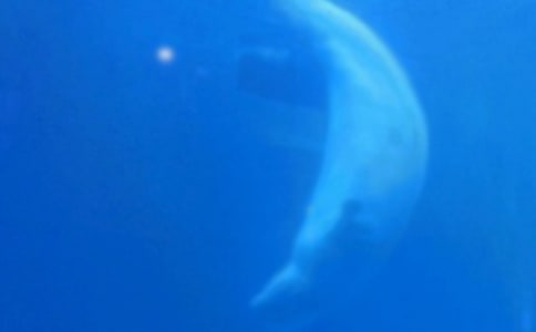 ���ڱ������������3ƪ