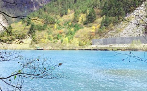 ��կ��������