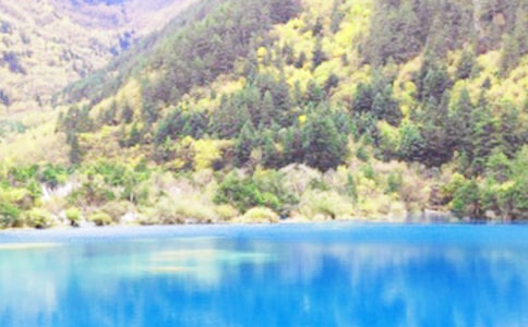 �˼��ɾ���կ������