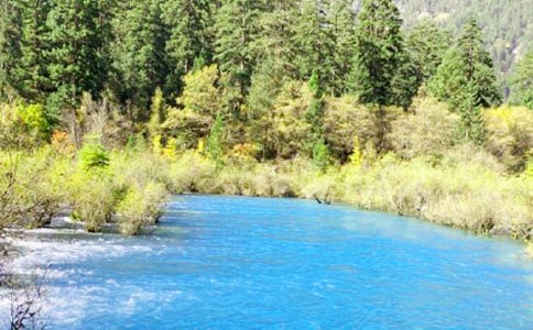 �˼��ɾ���կ������5ƪ���ȣ�