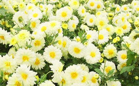 д�ջ��ĺþ���200��