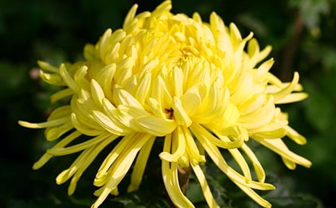 ��д�ջ��ľ��ӻ��ܣ�15ƪ��