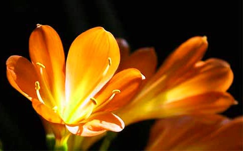 ��ϲ������������