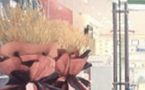 ������ҵ���İ�