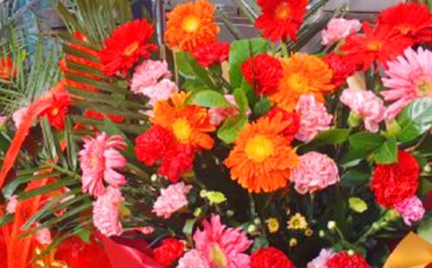 �µ꿪�ſ��õĻ���ף����