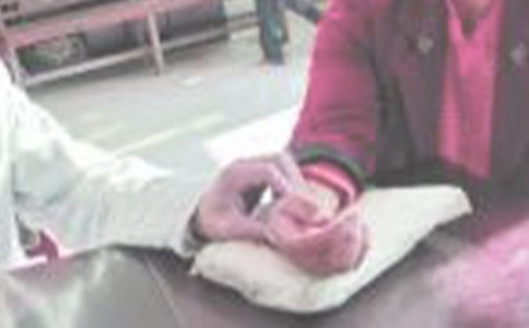 ѧ�ῴ�������15ƪ