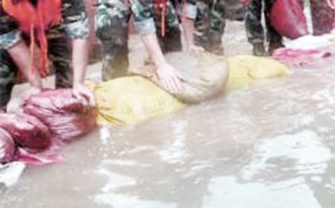 �������վ����ĵ���᷶�ģ���ѡ12ƪ��