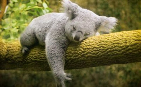 �����ֹ���ֽͼ��̳�