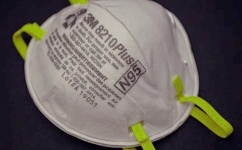 һֻ���ֵ���������