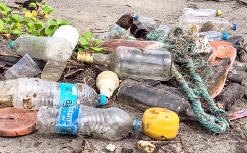 ������ֽС����Ͱ