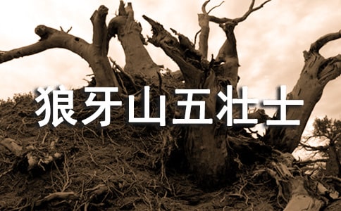 ������ɽ��׳ʿ�иУ�����15ƪ��