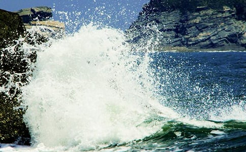 ���˻����̰���Ʋο�