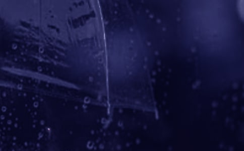 �����ʣ����������