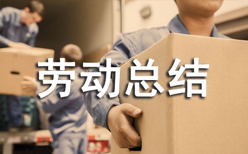 公益劳动总结5篇