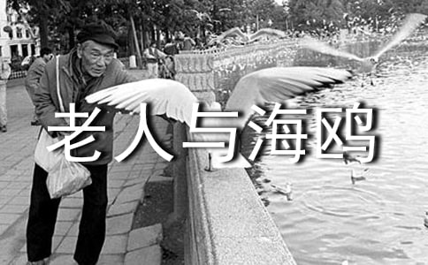 �������뺣Ÿ���Ŀμ���ͨ��10ƪ��