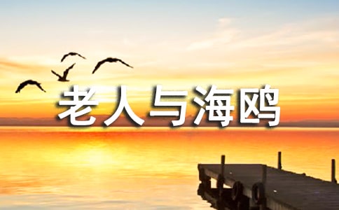 �����뺣Ÿ���������700��