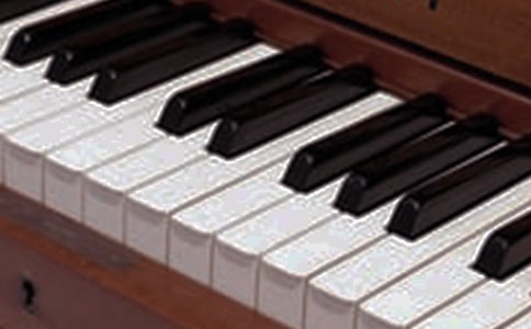 �ҵ���������(��ѡ15ƪ)