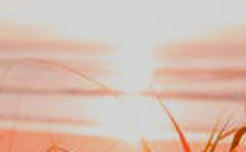 ���������ķ����