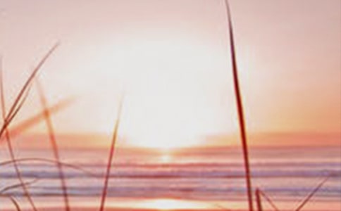 ������ʫ��