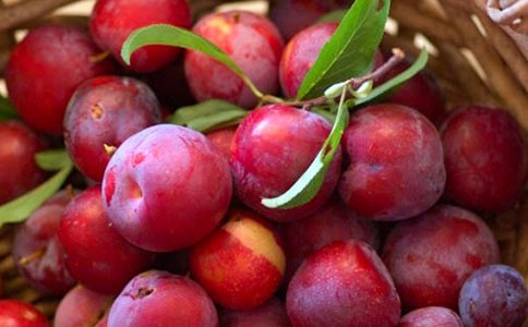 ���Ӻ˶��꼶�̰�����