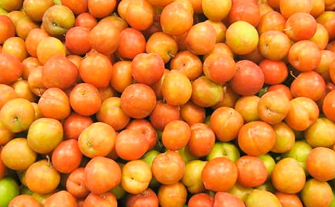 ժ��������