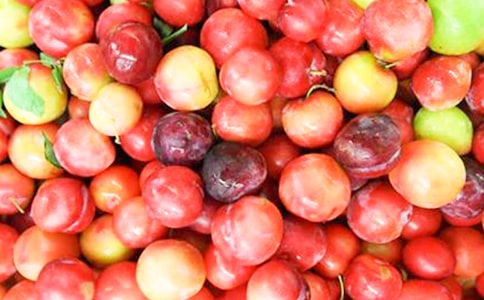 �ܽ������۽�������