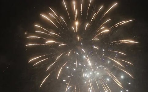 ���񻨵�����