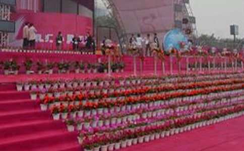 �����������ͬ12ƪ