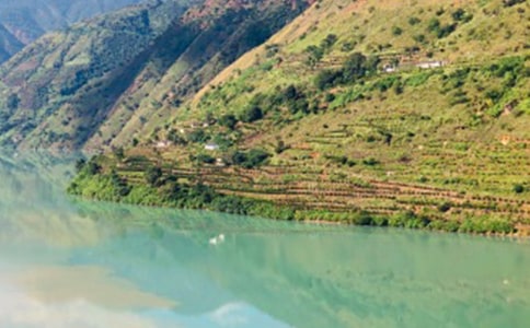 ��ʵ�ã������ų�����