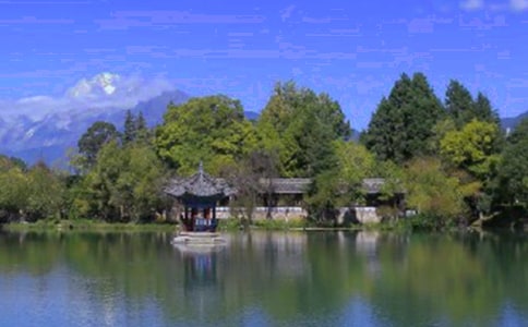 ��д�����ųǵ���������170��