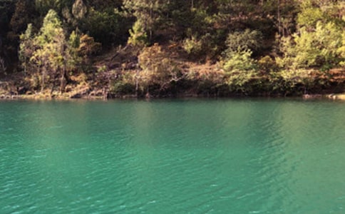 ������������������