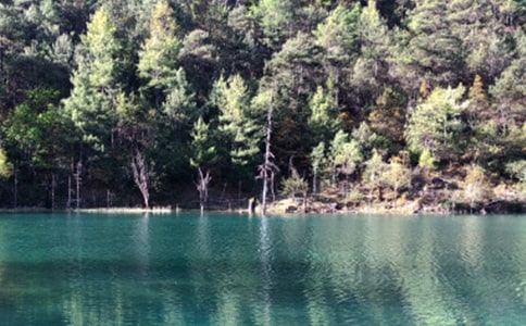 �����ų����ģ�ͨ��38ƪ��