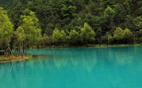  ���ڹ��ݵġ�С��������������ô���꣬����¶������Ŀ��