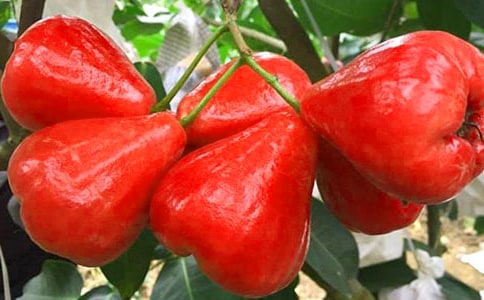 �������꼶����