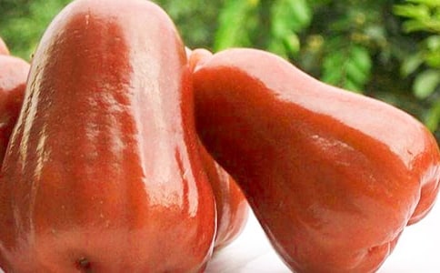 �����Ĺ�Ч������