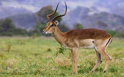 ���������ݡ���ѧʵ¼